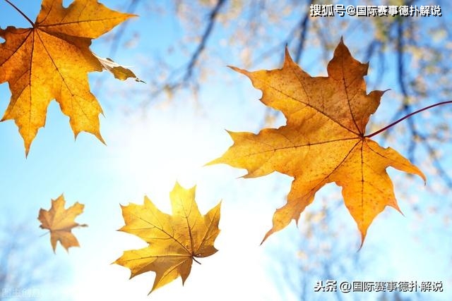 德州扑克大师埃里克·塞德尔_德州扑克单桌锦标赛规则_WSOP手镯8个埃里克·塞德尔