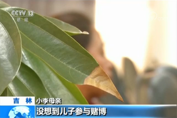 网络德州扑克开设赌场案_长沙德州扑克比赛_公安部督办吉林省网络赌博案件